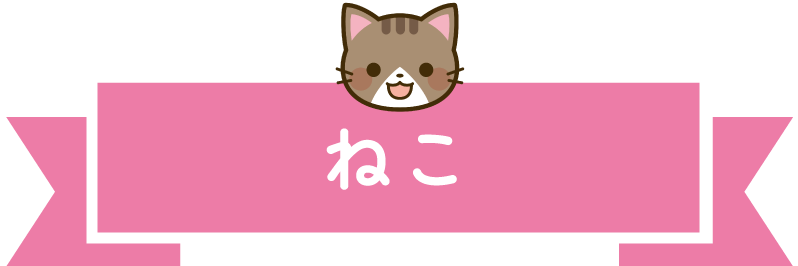 ねこ