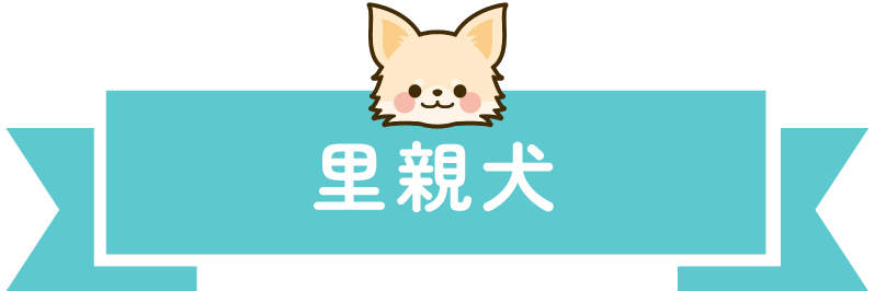 里親犬